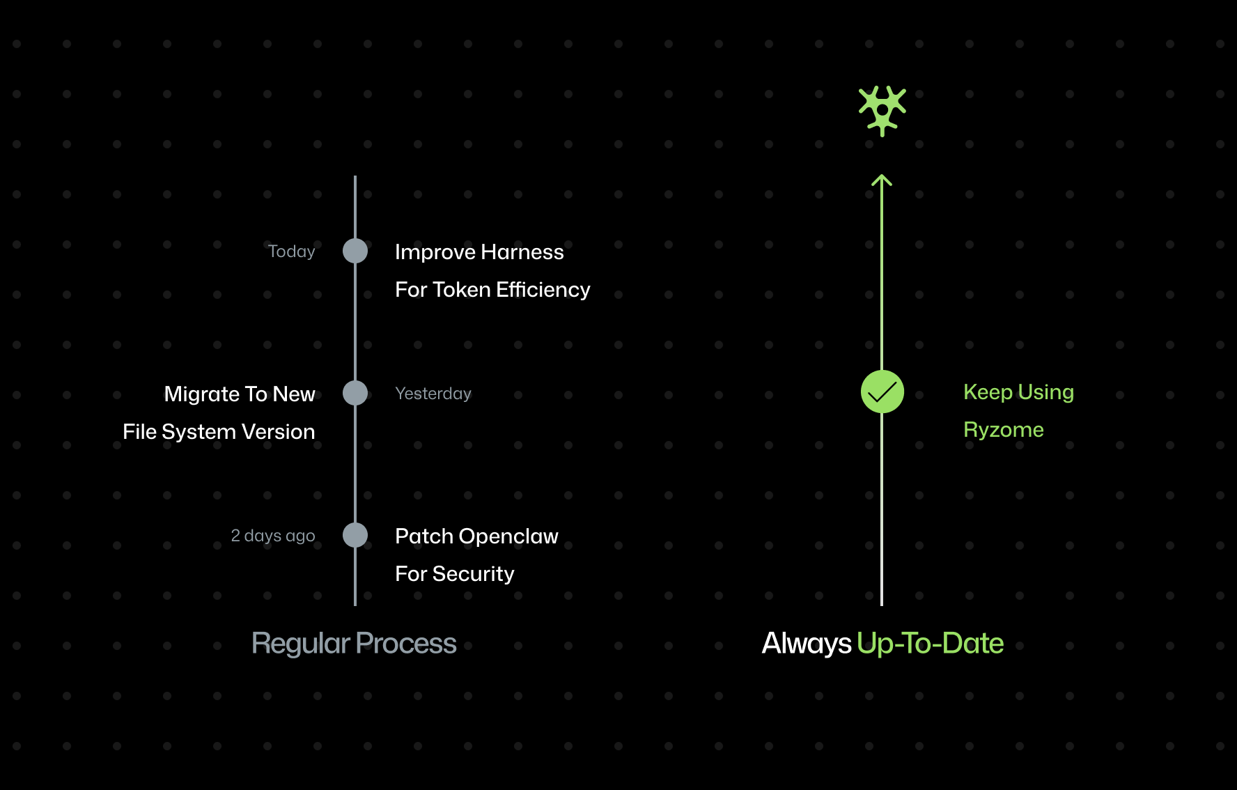 difference between custom solution and ryzome